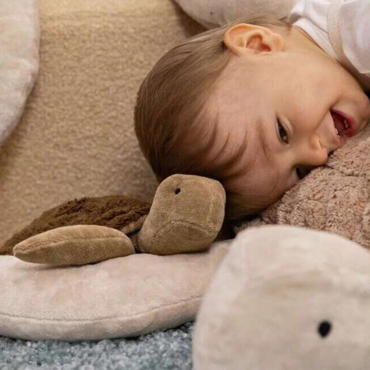 Cuddly Animal | Turtle Small Brown with Removable heat/cold pack
