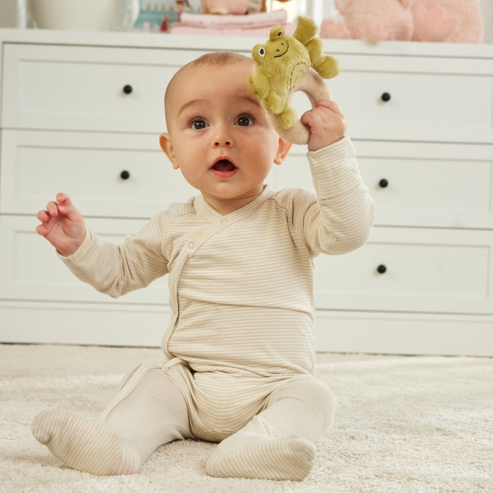 Fred Frog Rattle