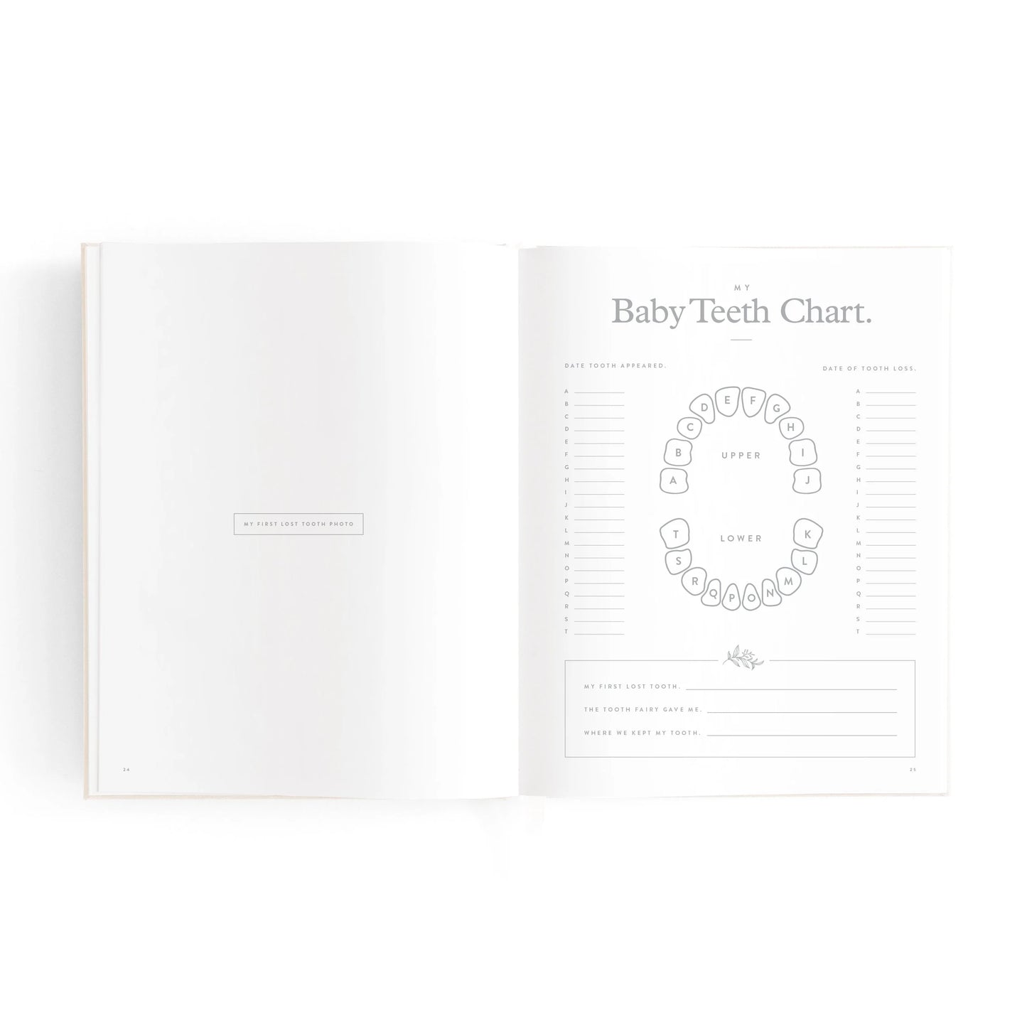 Fox & Fallow Baby Book Mini