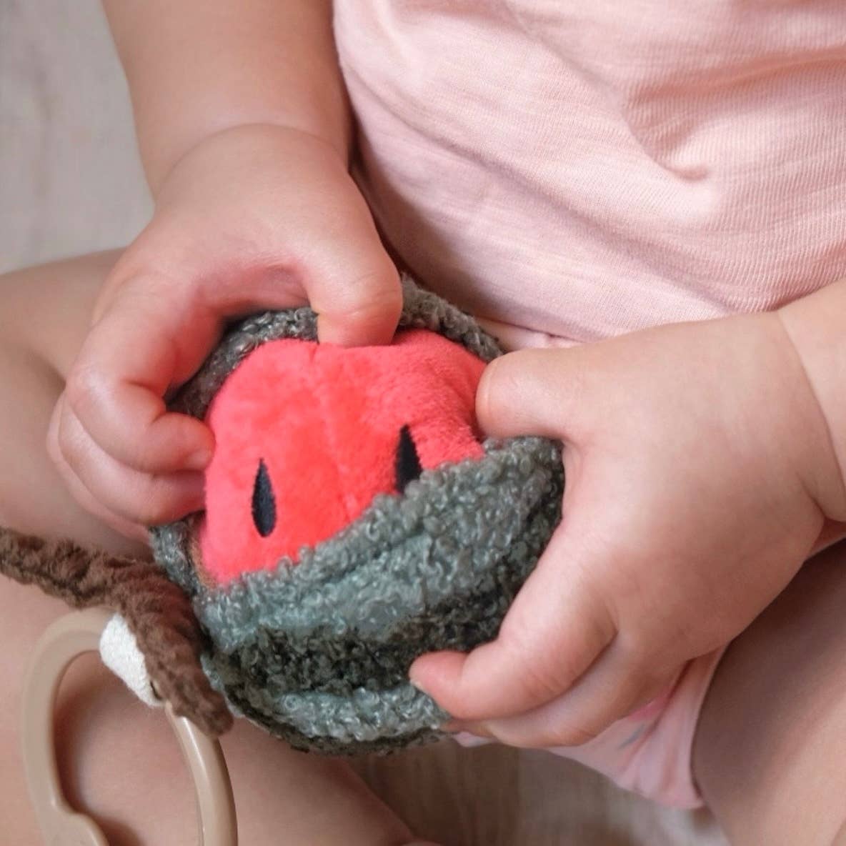 Watermelon rattle