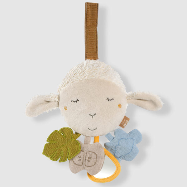 FehnNATUR activity sheep