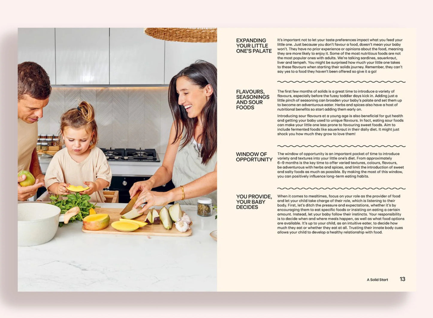 Baby Food Bible
