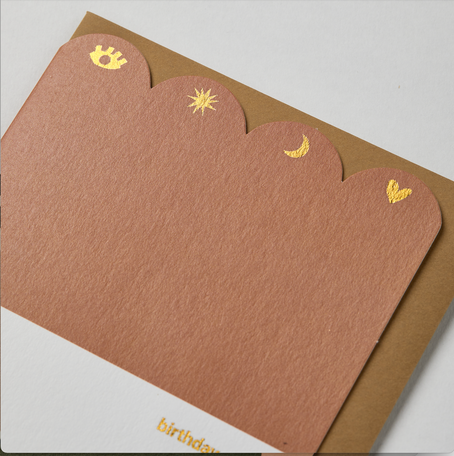 Scallop Cards