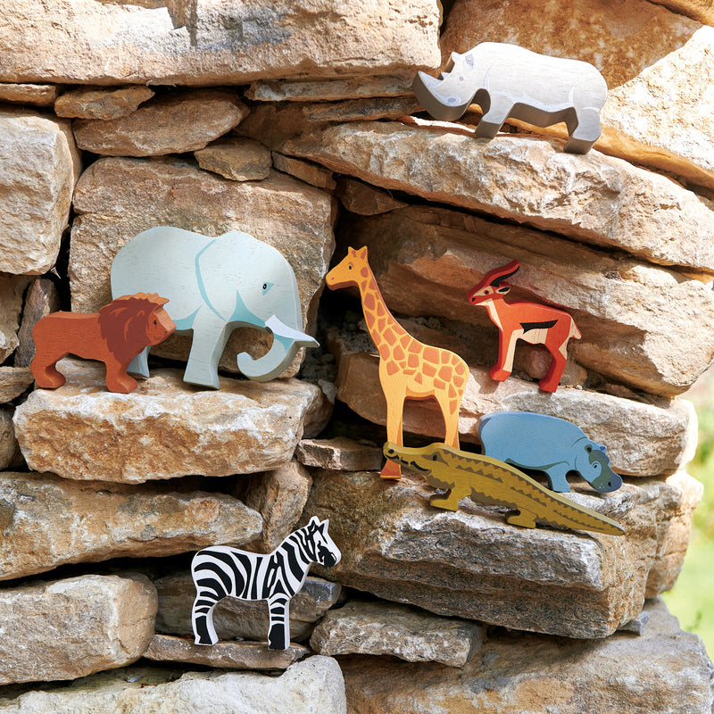 Safari animal Display Self | Set