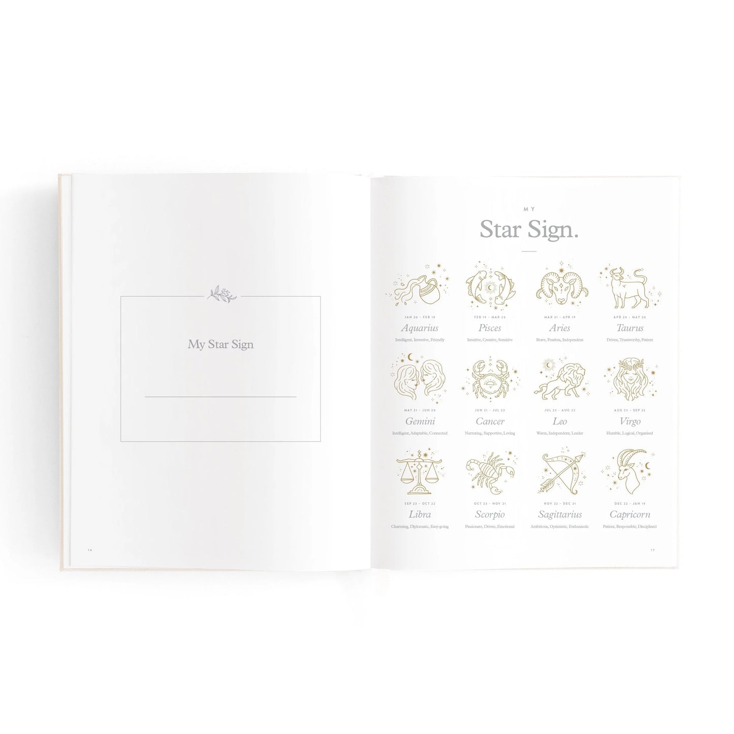 Fox & Fallow Baby Book Mini