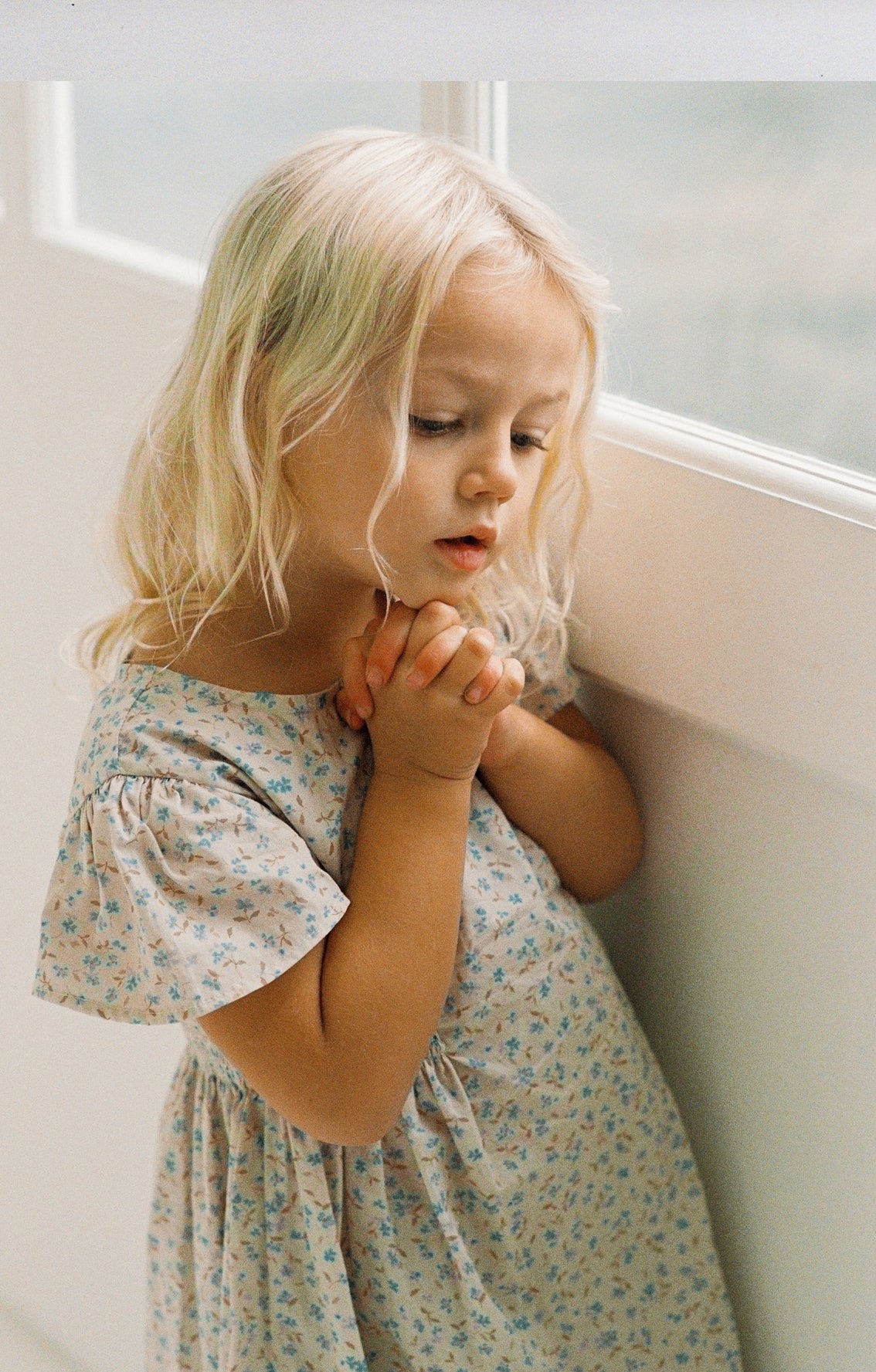 Blossom Dress- Indigo bloom