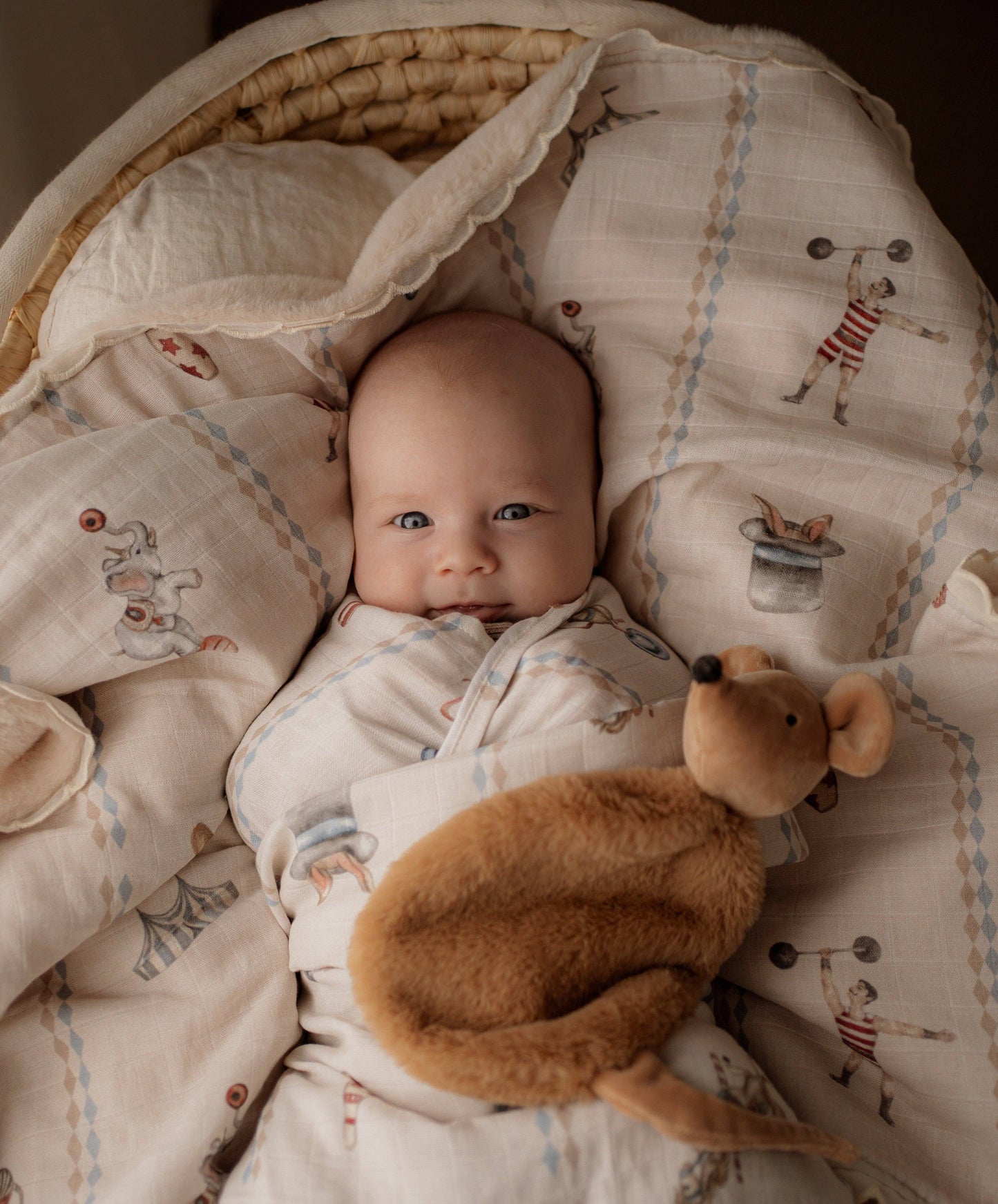 Le Cirque Swaddle Wrap