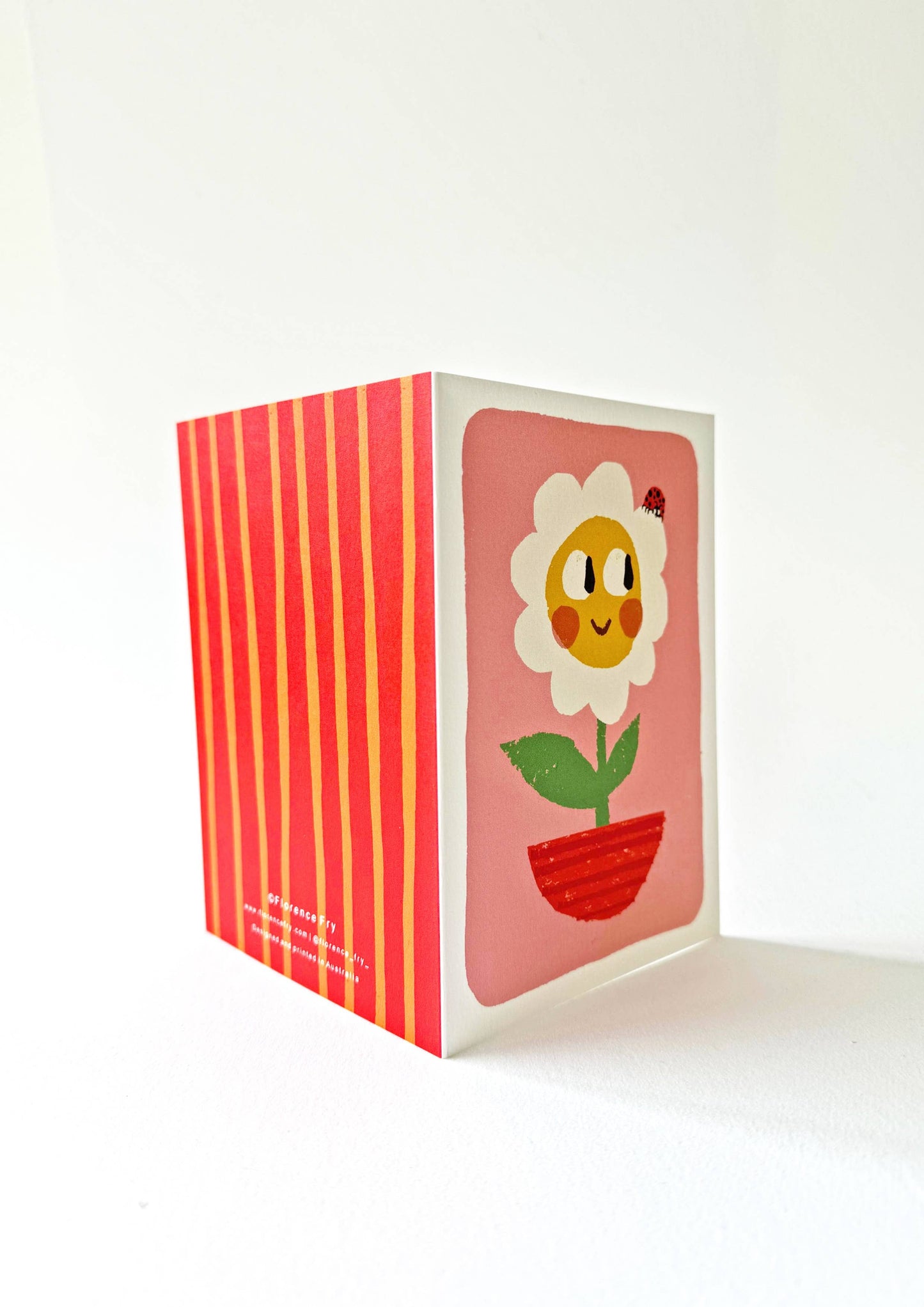 Daisy Flower Pot Friend