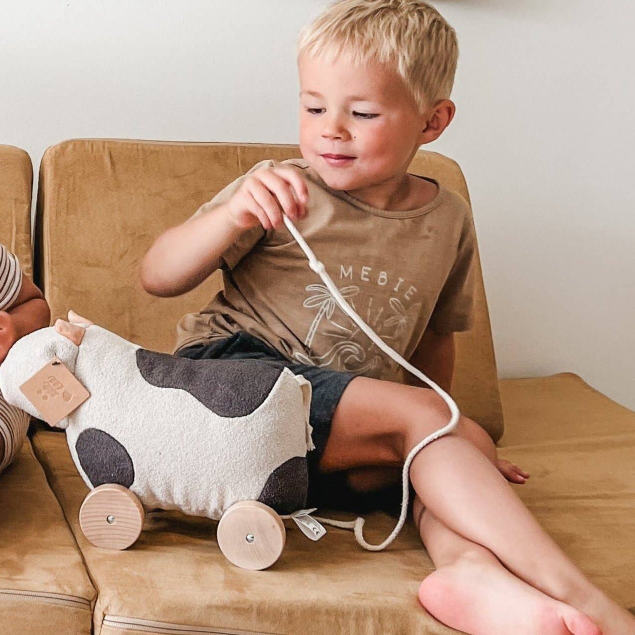 WILLOW pull up toy