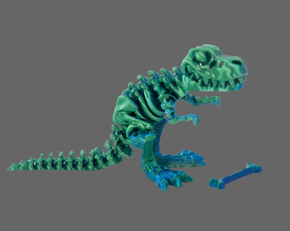 3D Sensory Trex