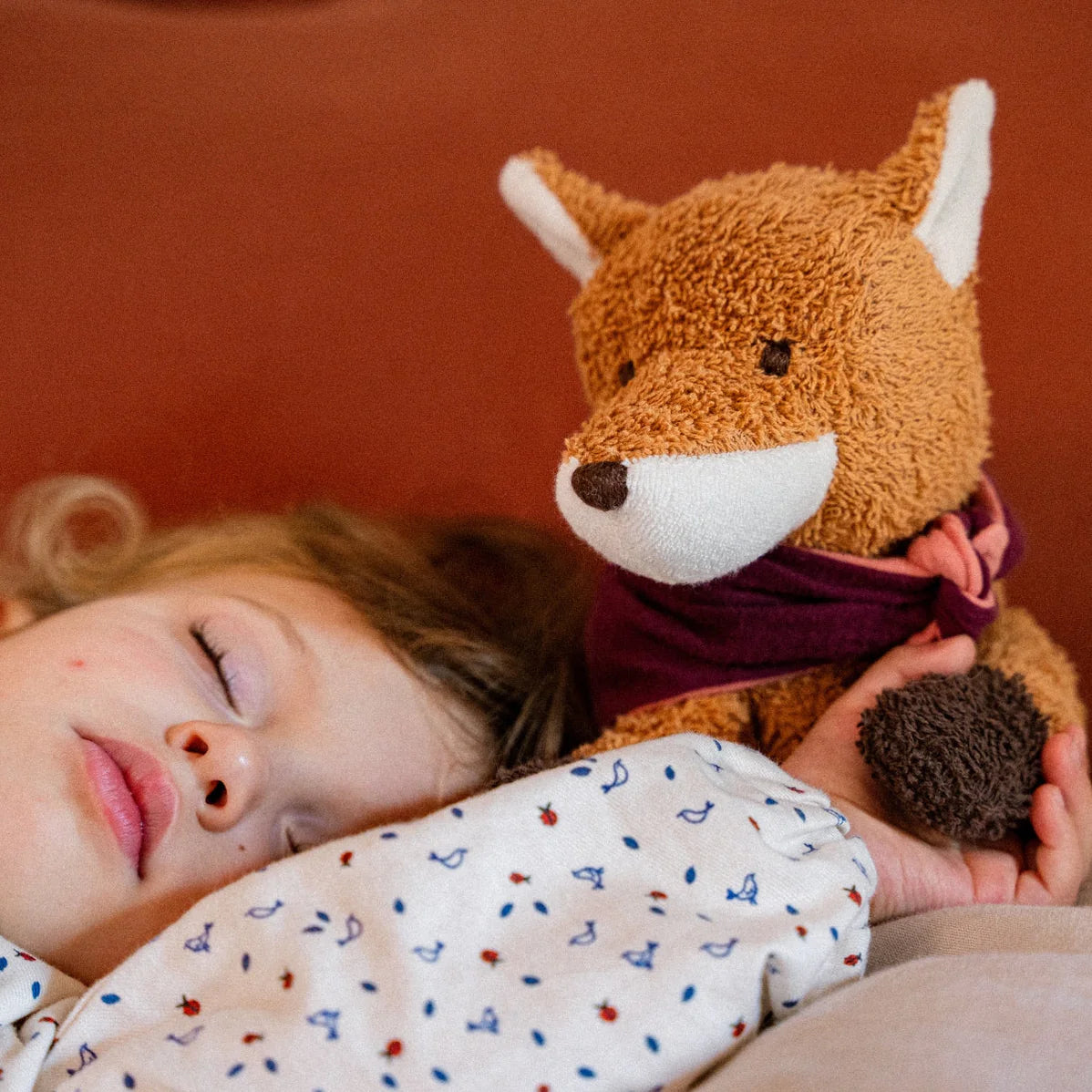 Cuddle Friend | Fred Fox