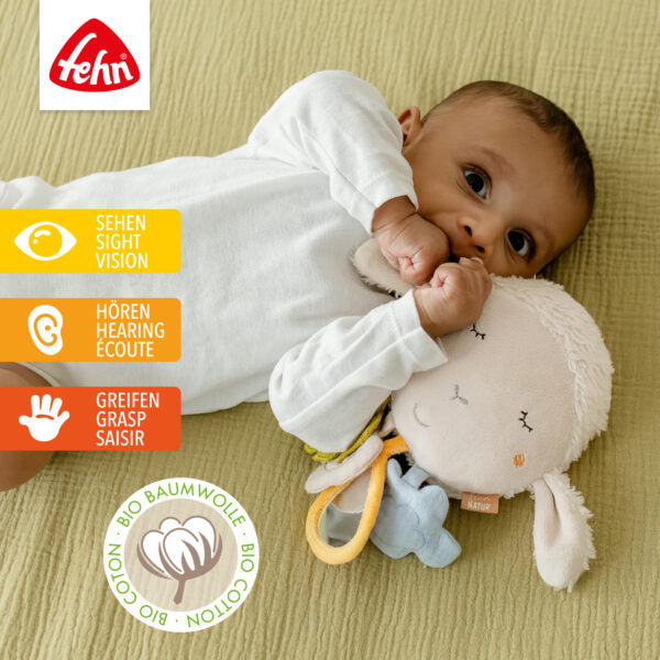 FehnNATUR activity sheep