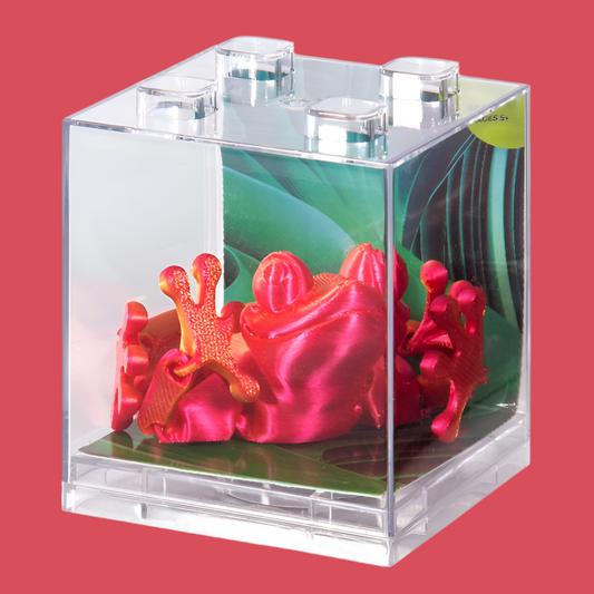 3D Sensory Frog