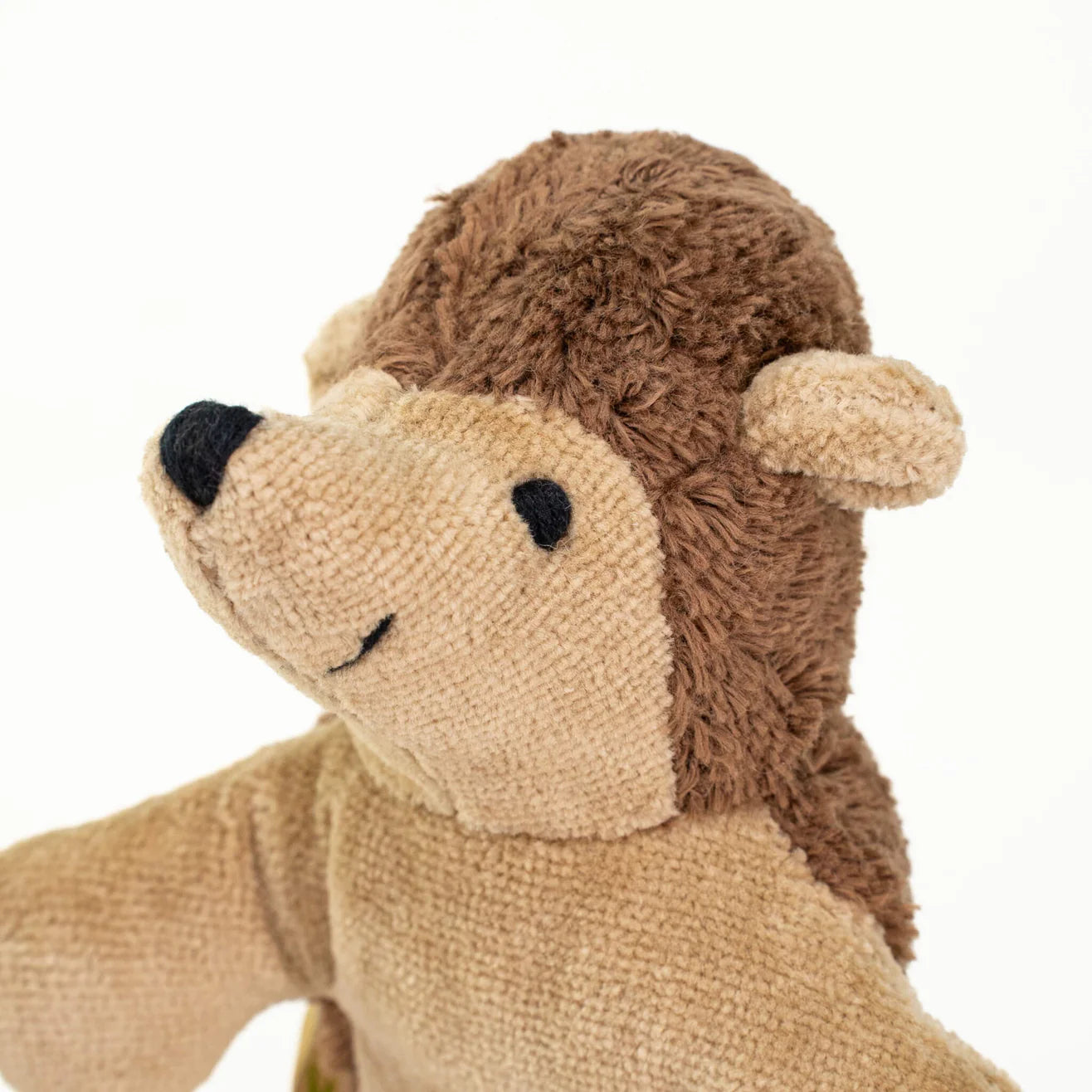 Animal Baby | Hedgehog
