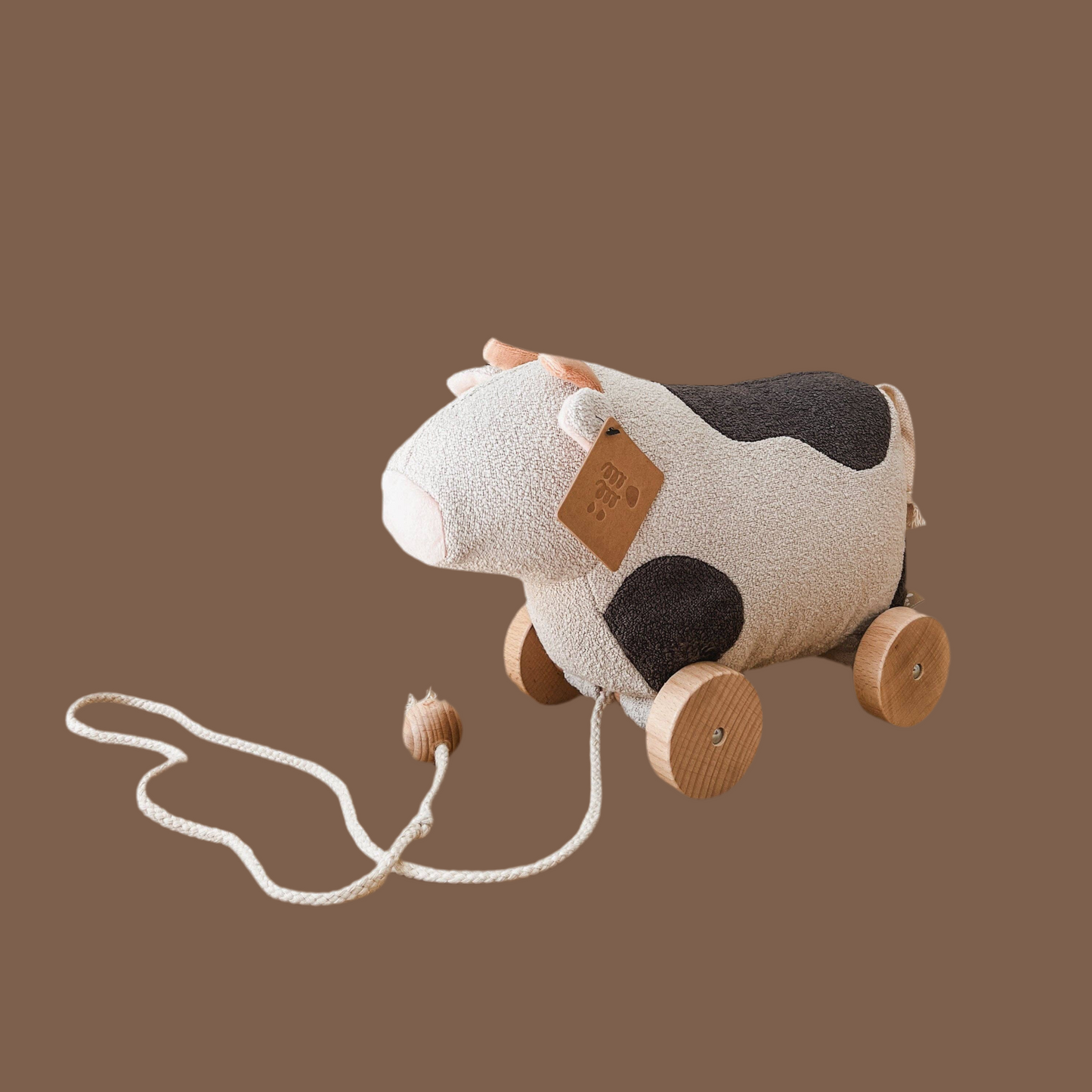WILLOW pull up toy
