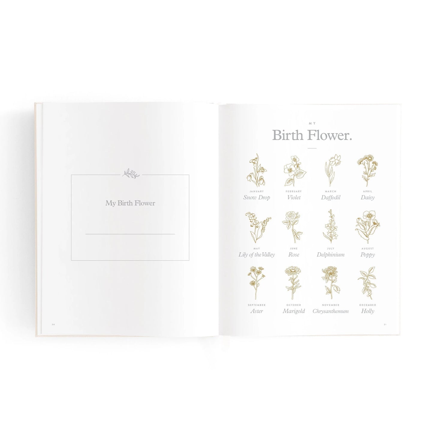 Fox & Fallow Baby Book Mini