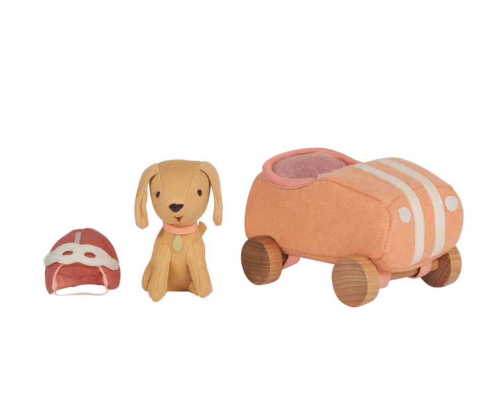 Car with garage box - Holdie Dog-go