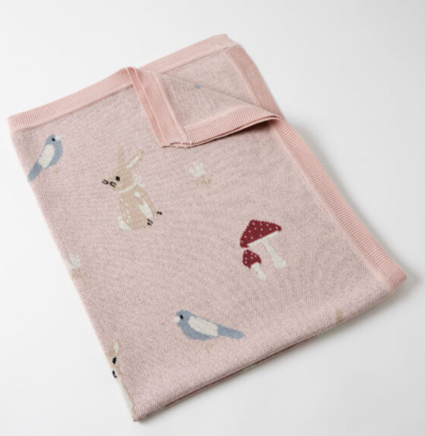 Enchanted Knitted Baby Blanket