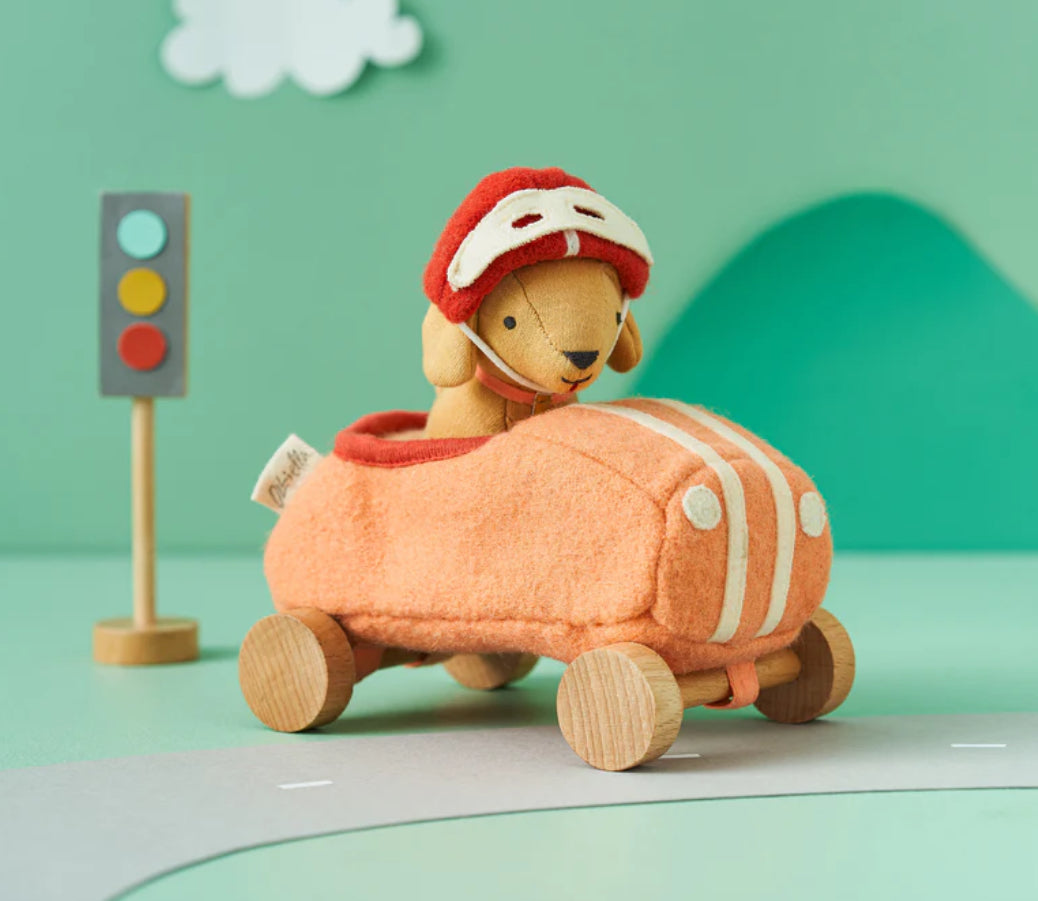 Car with garage box - Holdie Dog-go