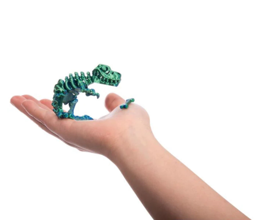 3D Sensory Trex