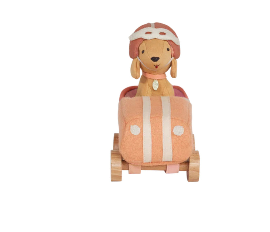 Car with garage box - Holdie Dog-go
