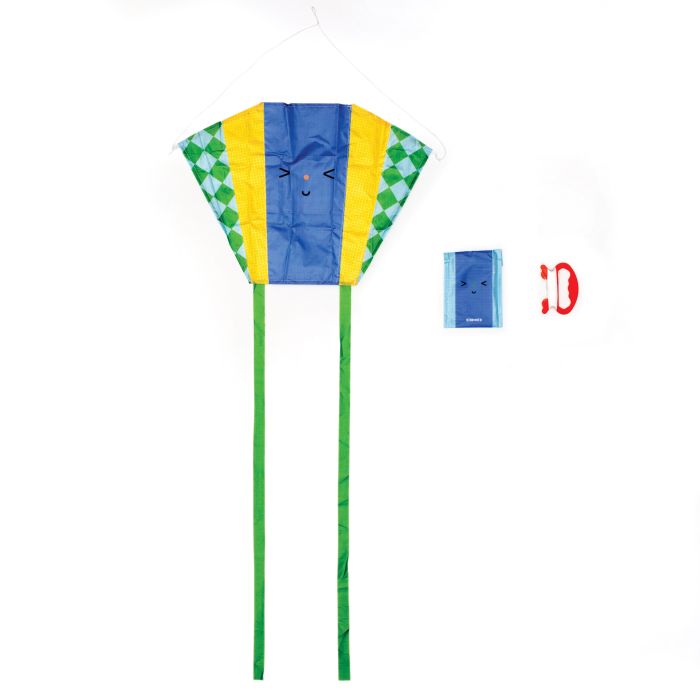 Funny Faces Pocket kites