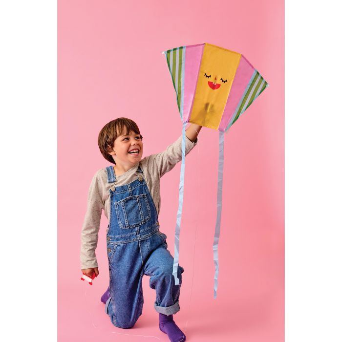 Funny Faces Pocket kites