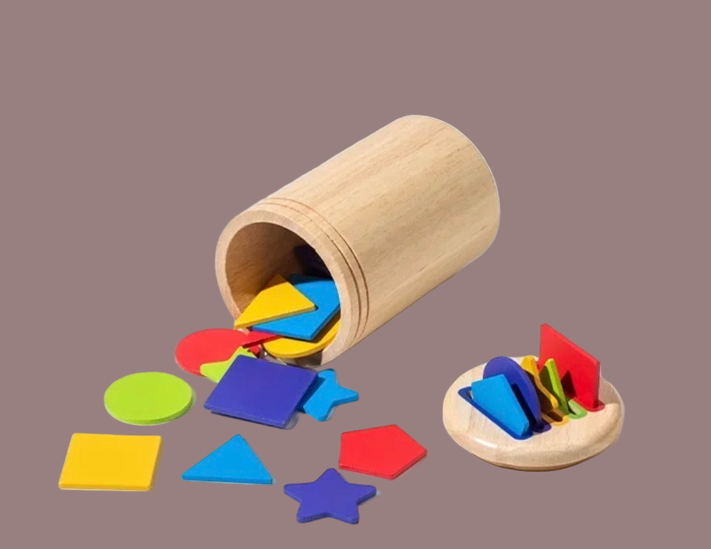 MONTESSORI COLOUR SORTING TOY