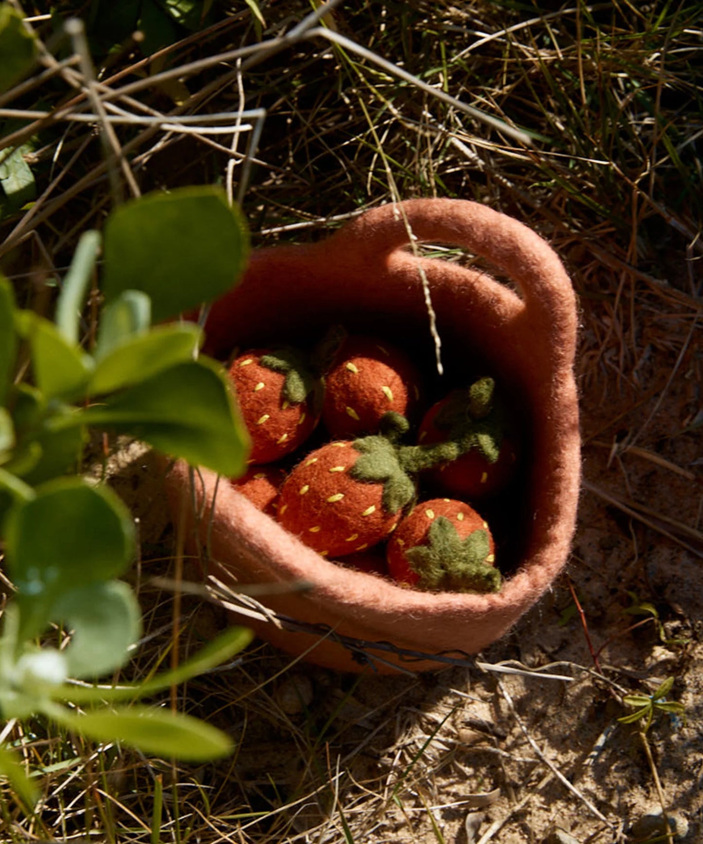 Phile Basket Of Strawberries