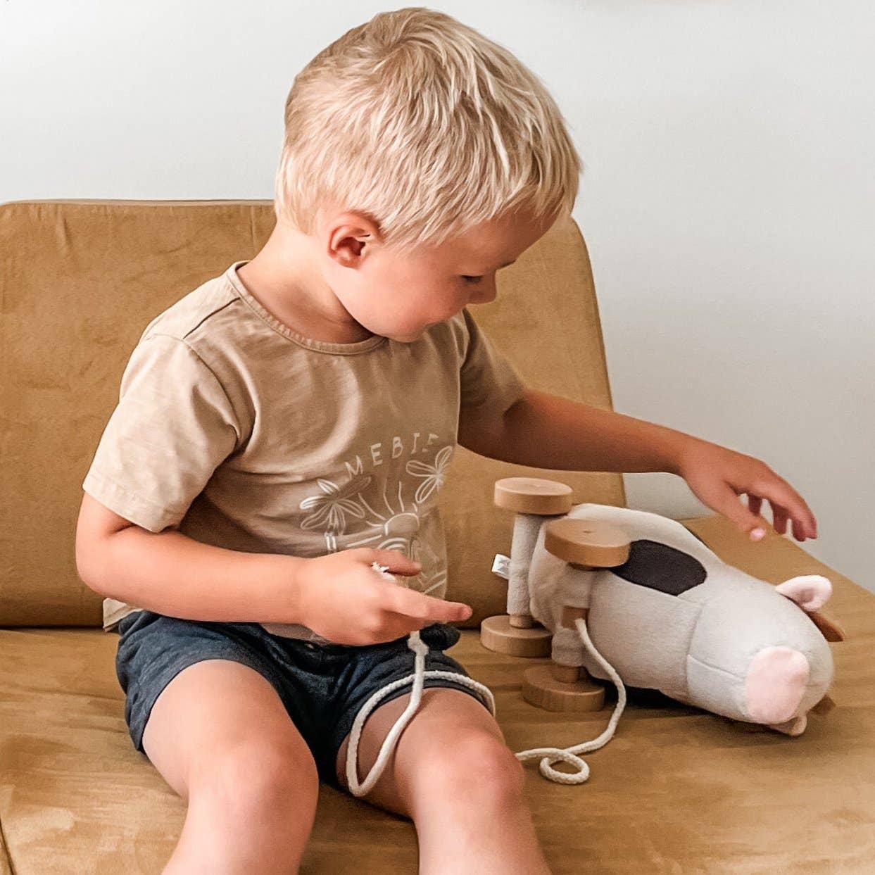 WILLOW pull up toy