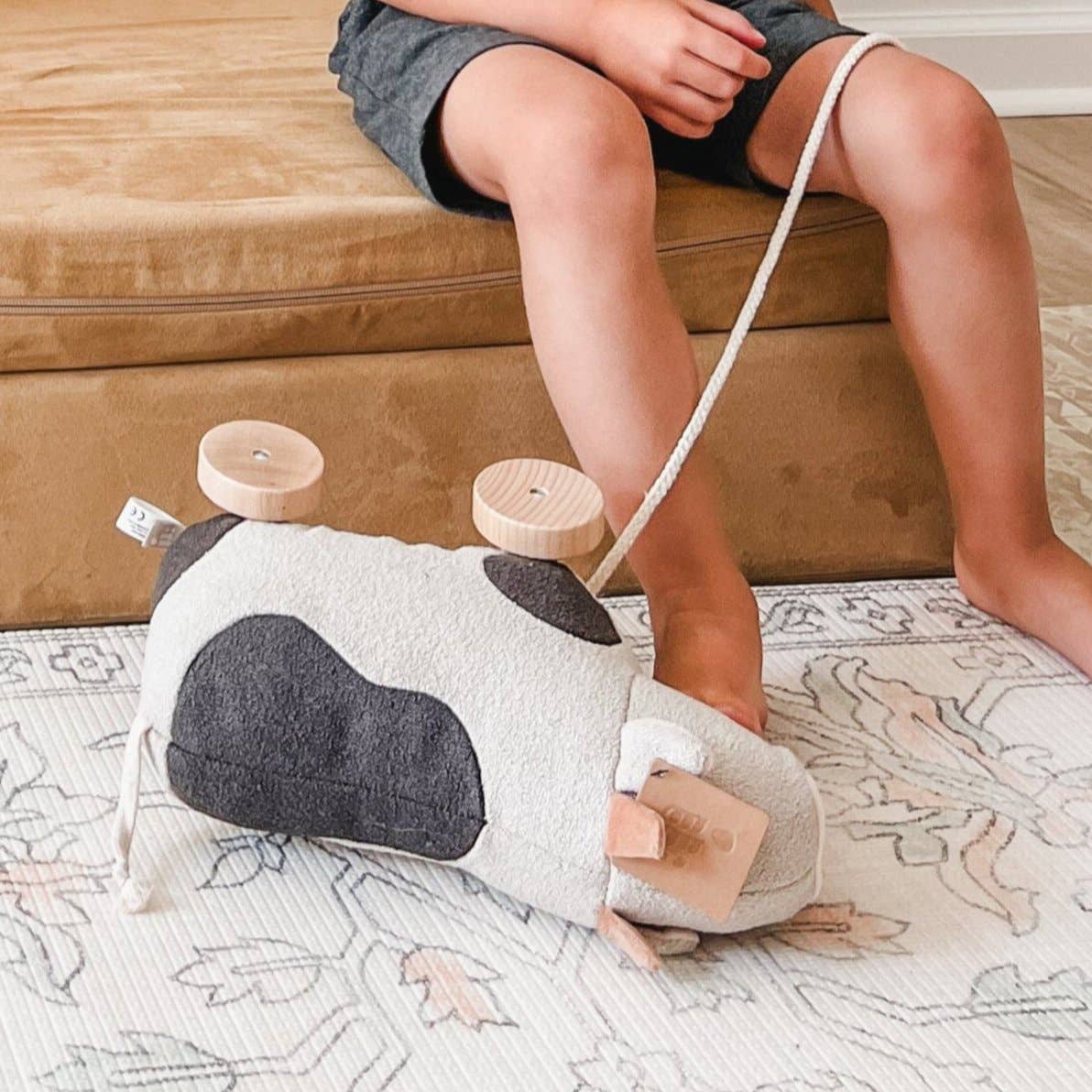 WILLOW pull up toy