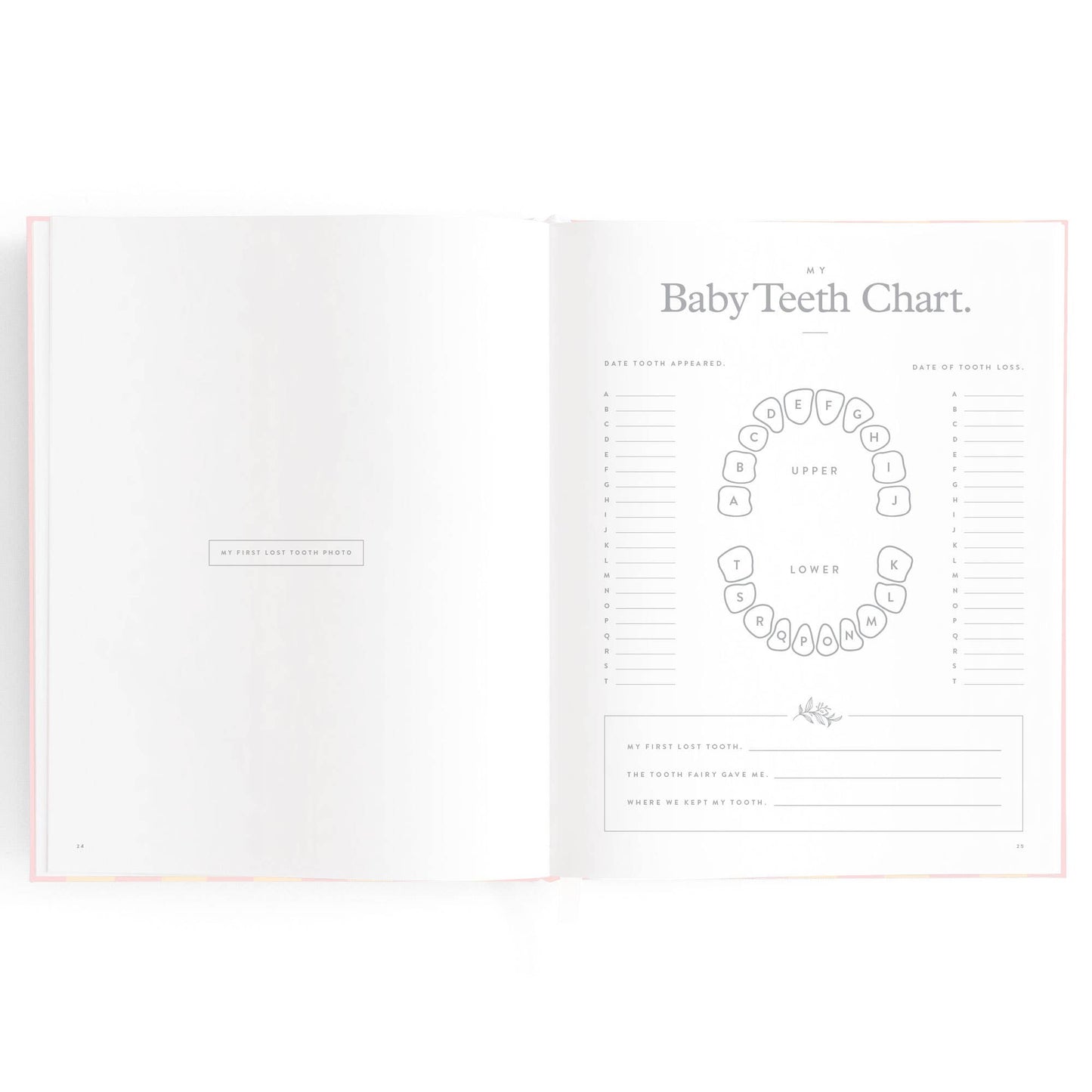 Baby Book Petal Stripe Boxed