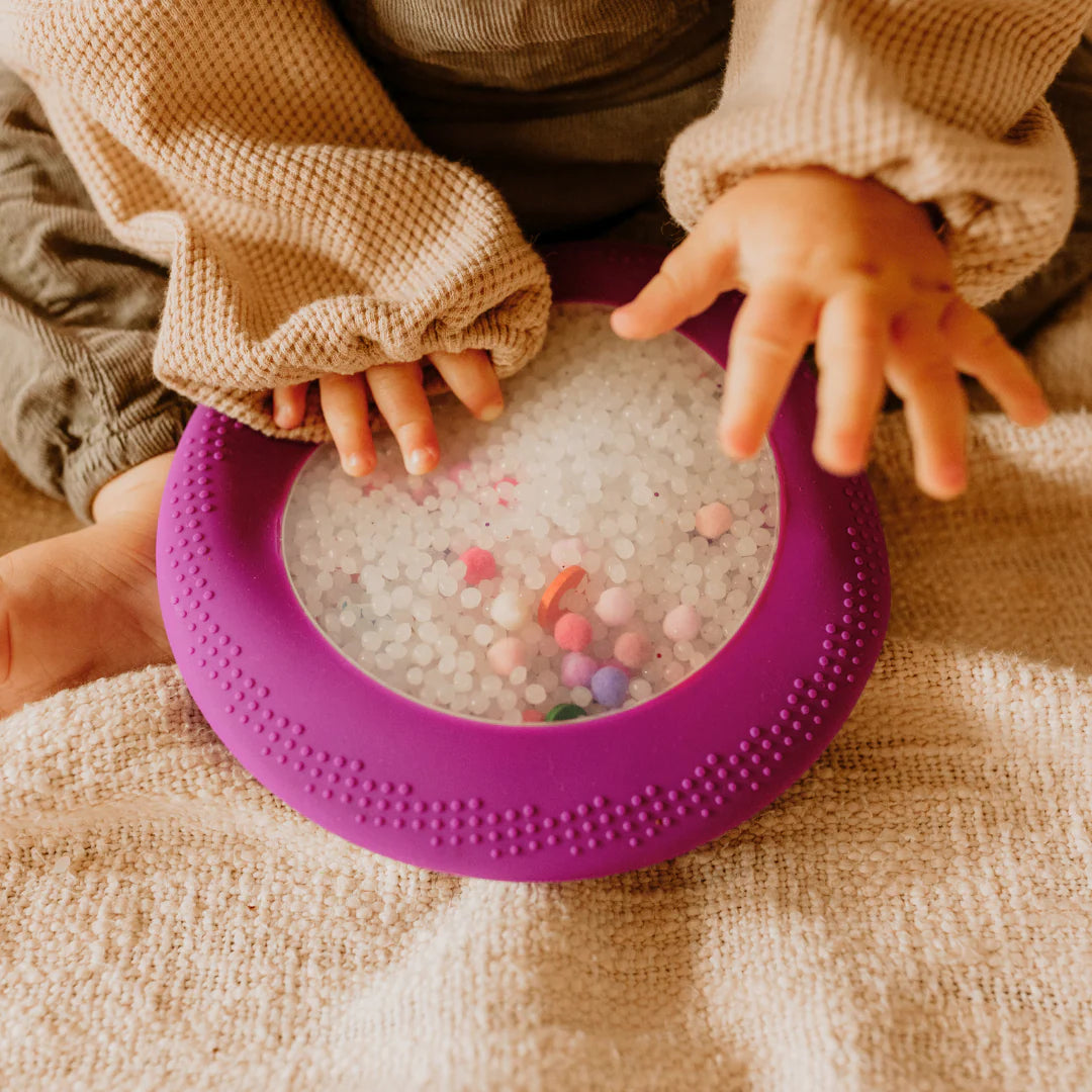 Peekaboo hide and seek sensory bag Dinosaur explorer