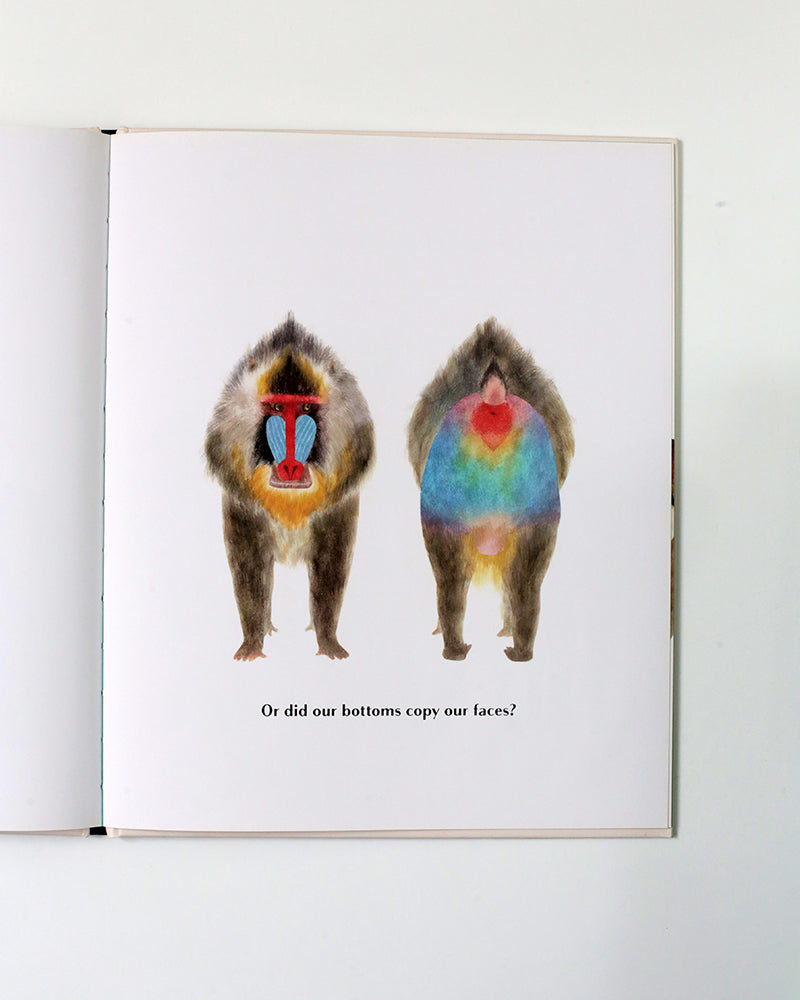 Book - Animals Brag About Their Bottoms