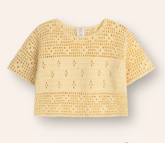Filet Crochet Crop
