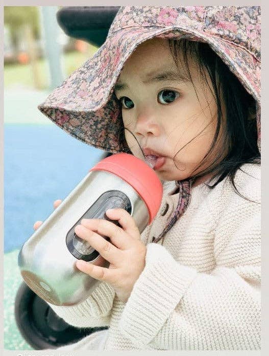 Lion & Lady Stainless Steel Toddler Straw Bottle with Window 350ml