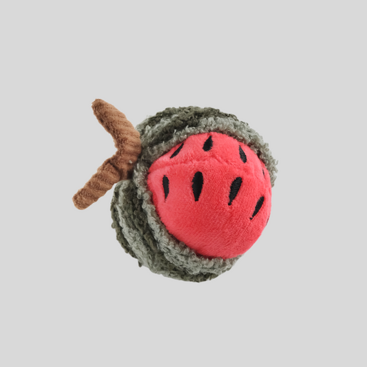 Watermelon rattle