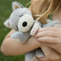Binky Puppy Banjo