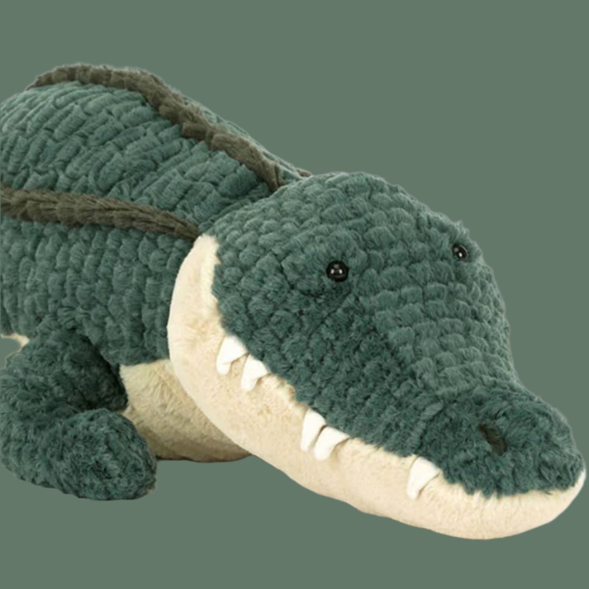 Alexi Alligator