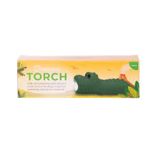 Dinosaur Torch
