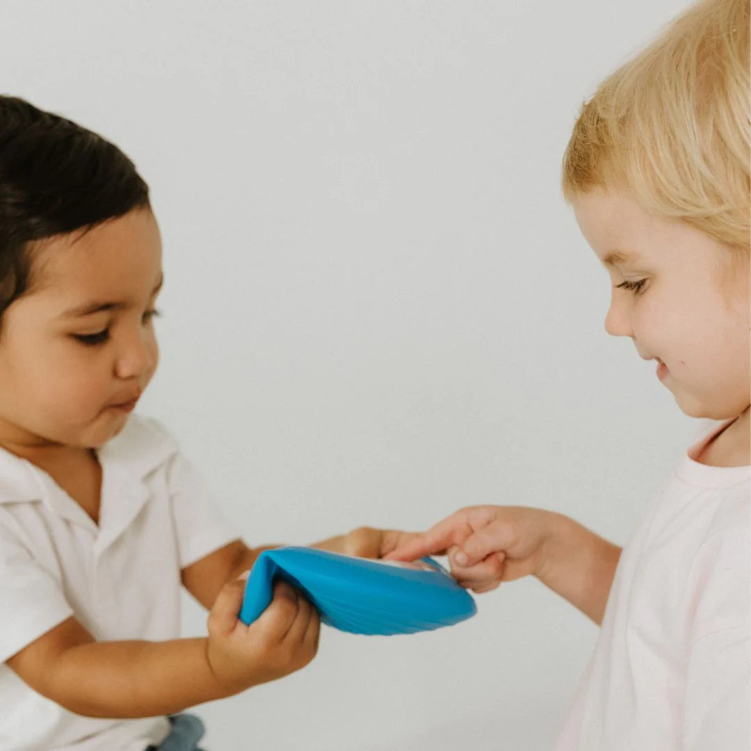 Peekaboo hide and seek sensory bag Dinosaur explorer