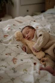 Cottage Picnic Swaddle Wrap