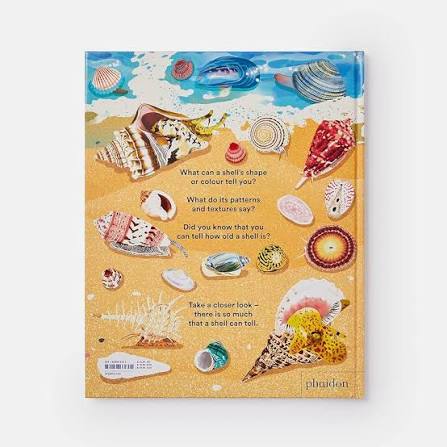 What a Shell Can Tell