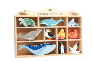 Wooden Coastal Creations Set with Display Case