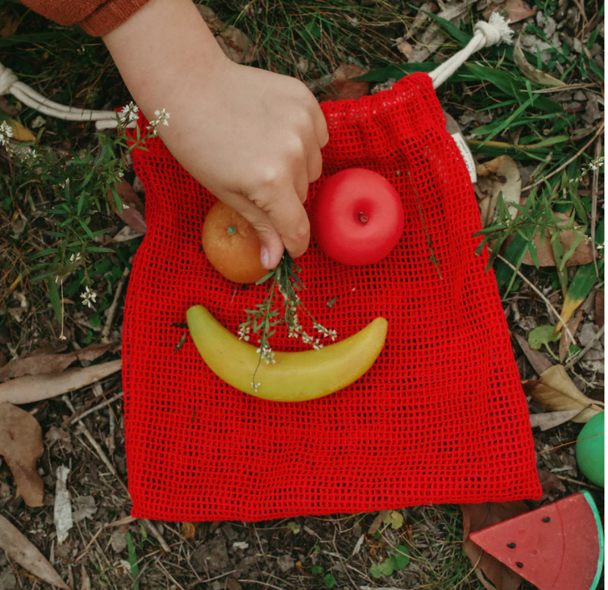 Sensory Stones - fruits