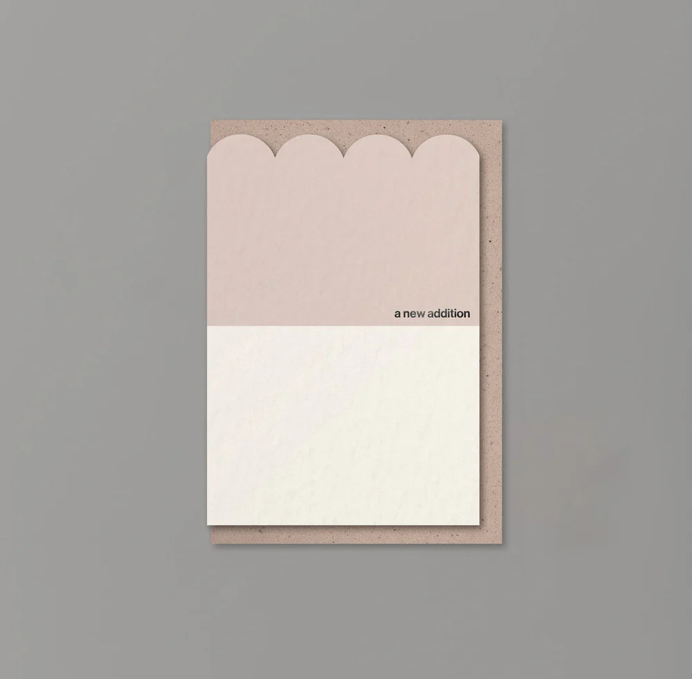 Scallop Cards