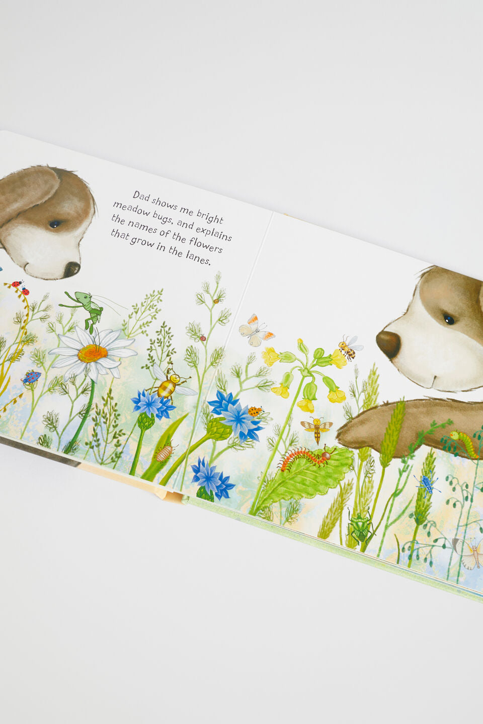 Jellycat Books