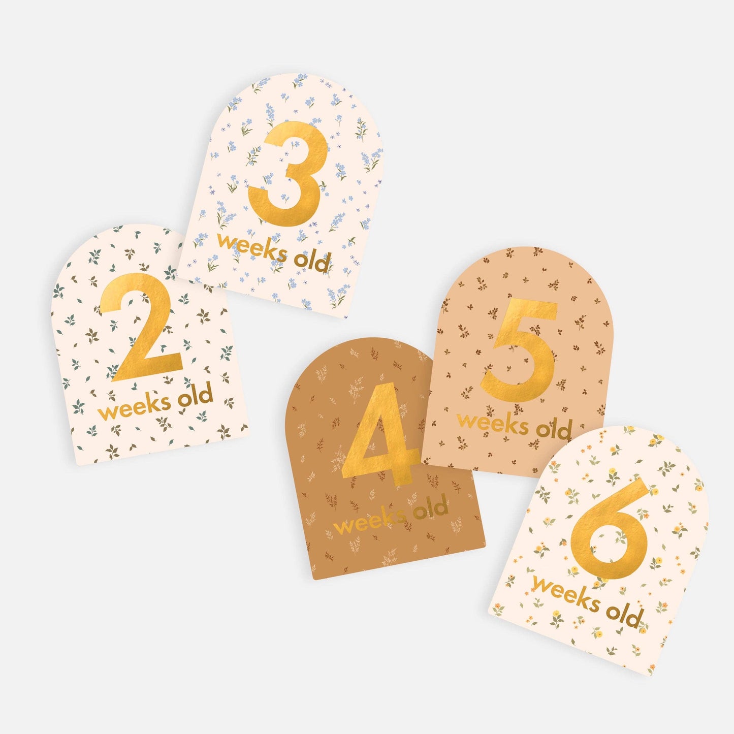 Baby Milestone Cards