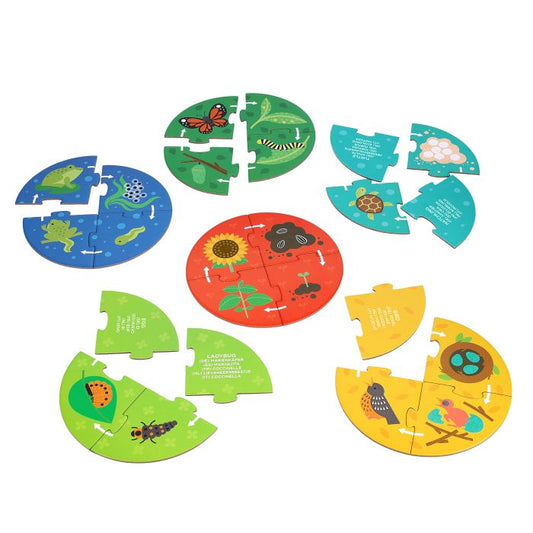 Discovery Puzzle