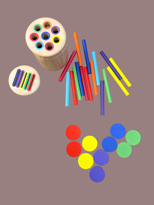 MONTESSORI COLOUR SORTING TOY
